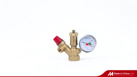 DN25-Kesselventil, komplette Gas-Warmwasserbereiter-Teile, Druckentlastungsventil, Entlüftungs-Sicherheitsventil mit Manometer